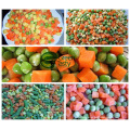 Mejor precio California IQF Mixed Vegetables